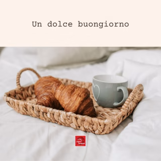Sai quella sensazione quando l'aroma del caffè arriva ancora prima di aprire gli occhi?
Noi di Caffè Perrero la consideriamo il miglior risveglio del mondo. In torrefazione lo sappiamo bene: un buon caffè non si improvvisa, si sceglie, si lavora e si assaggia mille volte finché non è perfetto per farti iniziare la giornata nel modo giusto!
Questo è un dolce buongiorno per voi, concedetevelo!
#dolcebuongiorno #caffeperrero #torrefazioneartigianale #coffeeroastercompany #caffè #coffee #familypassionsince1071